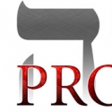 Project 613 Logo