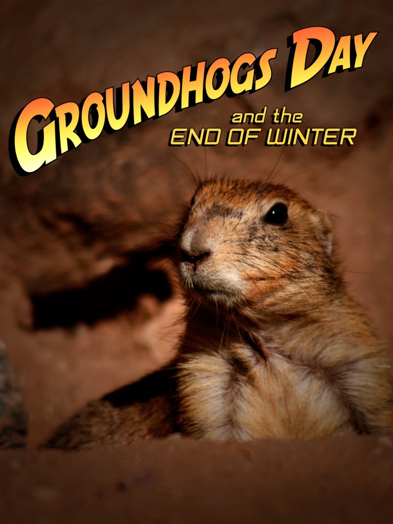 Happy Groundhogs Day