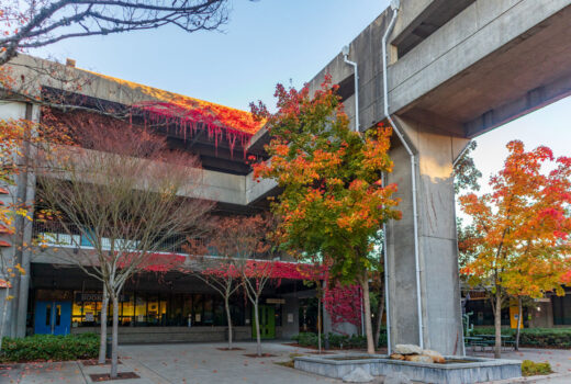 North Seattle College in Fall during twilight