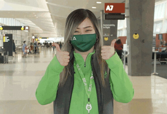 FlySEA Social Media GIFs