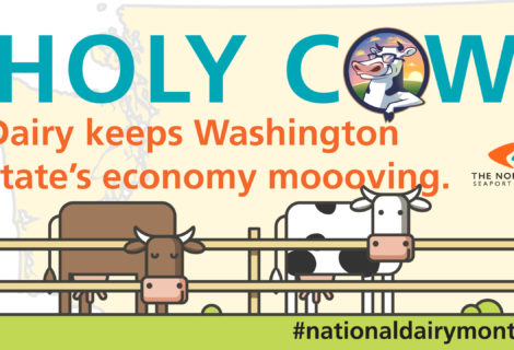 National Dairy Month Infographic