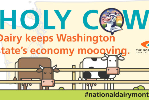 National Dairy Month Infographic