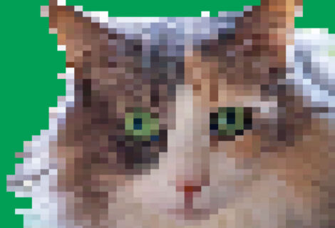 8-Bit Cat