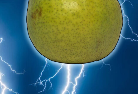 Lightning Pear