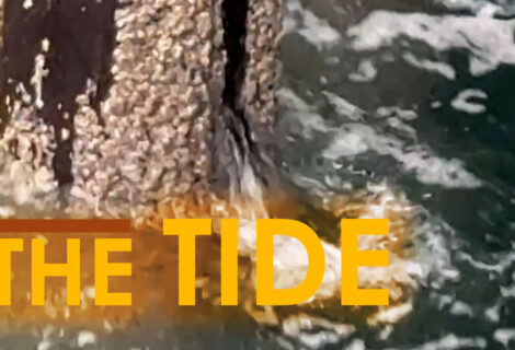 New Video: The Tide