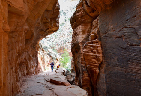 Zion Hike