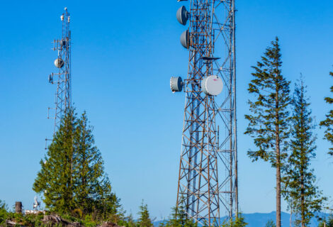 Another Tiger Mountain Tower