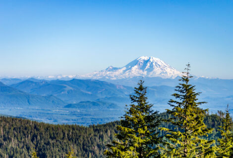 Mt Rainier from Tiger Mountain