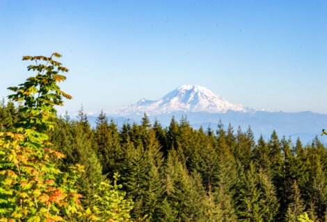 More Mt. Rainier photos