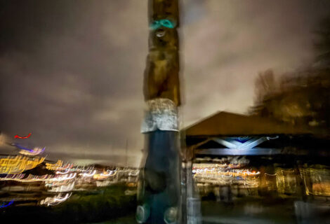 Totem Pole at Night