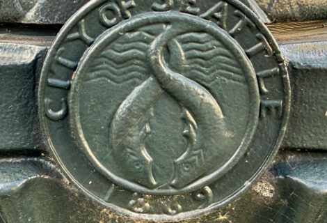 Seattle Seal With Fish