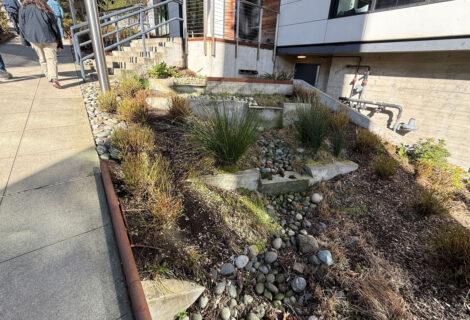 Rain Garden and Sign